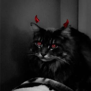 Meet your Posher, Rhonda